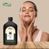 Organic Zing Mulberry (Morus alba) Oil | Pure & Natural Carrier Oil for Aroma, Skincare & Massage - 1000ml/ 33.8 Fl oz