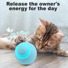 cszajcmrn Pet cat Toys Random Scrolling Indoor pet Toys Cat Toy Ball.Inspire cat Hunting instinctBlue 42 * 42 * 42mm