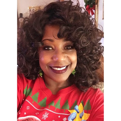 ELIM Curly Wigs for Black Women Short Kinky Curly Brown Wigs for Women Big Curly Afro Soft Wig with Bangs Heat Resistant Natural Cute Synthetic Wig with Accessories Z301BR