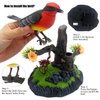 Tipmant Electronic Bird Toys Electric Animal Pets Move Chirp Home Office Decor Decoration Kids Gifts