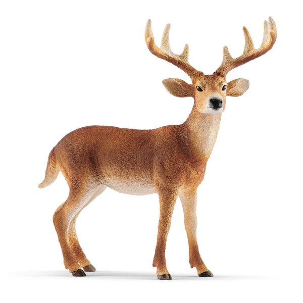 Schleich Wild Life, Animal Figurine, Animal Toys for Boys and Girls 3-8 Years Old, White-Tailed Buck, Ages 3+