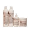 Kit Activeé Coconut Oil | Extra Hydration and Silk Effect Shampoo, Conditioner, Leave In Cream and Treatment