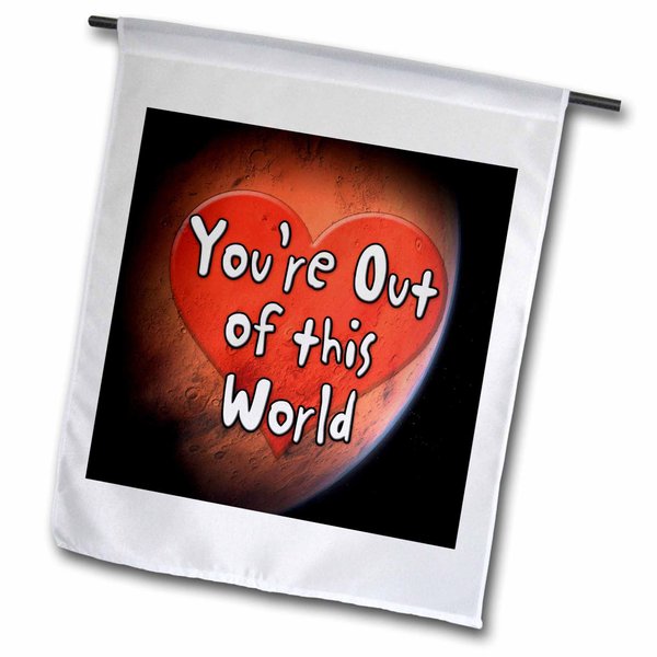 3dRose Edge of Night Design – Romance - Image of Words Youre Out Of This World - Flags (fl_355132_2)