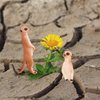 BRETOYIN 12-Piece Desert Animals Figurines Set - 6 Inch Realistic Toys for Kids, Toddlers, School Projects, Birthday Gifts, and Party Favors