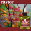 Difeel 99% Natural Premium Hair Oil - Pro-Growth Castor Hair Oil 7.1 oz. - Natural Castor Oil for Hair Growth