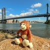 Yonkey Monkey Popular 10-inch Cute Soft Plush Monkey, Travel Buddy, Blogger, Friend