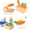 Ancaixin Montessori Toys for Babies 6-12 Months, Wooden Toys for 1 Year Old Boys and Girls, Educational Carrot Harvest Toy for Toddlers, Shape Sorting Matching Puzzle, Developmental Birthday Gifts