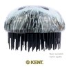 Kent PHOG Hedgehog Pebble Scalp Massager Shampoo Brush, Shower Brush, and Travel Size Detangling Brush - Scalp Scrubber for Dandruff and Kids Hair Brush Hair Detangler - Hairbrush for Tangles