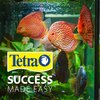 Tetra Bubbling LED Aquarium Kit 1 Gallon, Hexagon Shape, With Color-Changing Light Disc,Green (Packaging may vary) , 1 gallon (7.5 x 7.5 x 7.7")