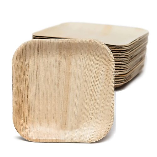 10 Pack Palm Leaf Plates - 10 Inch Square Biodegradable Dinner Plates - Compostable, Sturdy like Bamboo - Eco-Friendly Green Dinnerware for Weddings, Party, Holidays, Christmas, Pack of 10