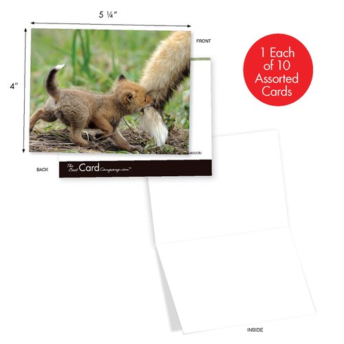 The Best Card Company - 10 Adorable Note Cards Blank (4 x 5.12 Inch) - Wildlife and Animal Cards, Assorted Boxed Kids Set - Little Foxes M6480OCB