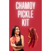 Chamoy Pickle Kit With Blue Takis & Flamin Hot Cheetos-Mexican Candy Gift Box-Tiktok Trend Items-Dulces Mexicanos-(2.4 lbs) 14 Piece Kit by Food Crush