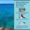 Sea Salts Of Hawaii Garlic Salt Flavored Hawaiian Sea Salt, 4 Ounce Bottle - Made in Hawaii