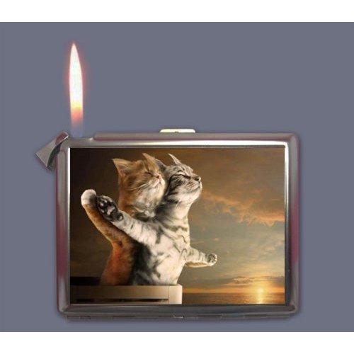 Funny Titanic Cat Cigarette Case Lighter Wallet Business Card Holder