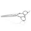 Professional Hair Thinning Scissors Japanese Stainless Steel Texturizing Shears Barbers Hairdressing Scissors for Men and Women (Silver-02A)