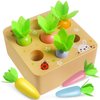 Skrtuan Wooden Toys for 1 2 3 Year Old Toddlers Baby Boys and Girls, Montessori Toy Carrot Harvest Game Shape & Sorting Matching Puzzle, Educational Developmental Birthday Gifts for Babies 6-12 Months