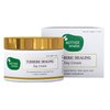 Mother Sparsh Turmeric Healing Day Cream - 40 g