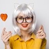 Bunnycool 2 Pcs Crystal Cat Ears Headband Rhinestone Cat Ear Tiaras Hair Band Party Cosplay Costume Accessory for Girls Women Golden Silver