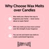 Happy Wax Winter & Holiday Scented Soy Wax Melts (Winter Mix, 6 Ounce Mix)