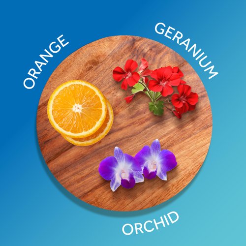 Calgon Ultra-Moisturizing Body Wash, Morning Glory, 16 fl oz