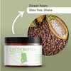 Nature Packaged Cocoa Butter (12oz) - Direct from Shea Tree Ghana, our supplier in West Africa - From Natural Cocoa Seeds - Moisturizes & Nourishes - Natural Body Butter 2 Pack