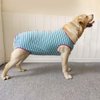 Dog’s Recovery Suit Post Surgery Shirt for Female Male Dog, E-Collar Alternative Wound Protective Clothes (Purple stripe-2xl)