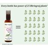 Blise organic Real Bhringraj oil - 100% Pure and Natural Anti hairfall, Hair growth, for Men and Women, highest Bhringraj concentration, with 21 precious and rare herbs,