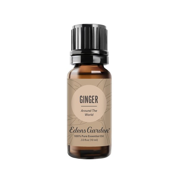 Edens Garden Ginger "Around The World" Essential Oil, 100% Pure Therapeutic Grade (Undiluted Natural/Homeopathic Aromatherapy Scented Essential Oil Singles) 10 ml