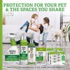 Natural Care Flea and Tick Dog Shampoo - Flea & Tick Treatment for Dogs - Flea & Tick Killer with Certified Natural Oils - 12 Fluid Ounces