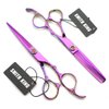 Professional Hair Cutting Scissors Set with Razor Comb Case,Hair cutting shears Hair Thinning shears with rose handle (6.0 inches)