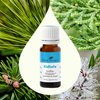 Plant Therapy KidSafe Sniffle Stopper Essential Oil Blend 10 mL (1/3 oz) Respiratory Support Blend 100% Pure, Undiluted, Natural Aromatherapy, Therapeutic Grade