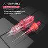 Ambition 20Pcs Disposable Tattoo Cartridge Needles Bugpin 1RL - 0.25MM Permanent Makeup Eyebrows Eyeliner Lips & SMP Tattoo Cartridge Supplies for Rotary Tattoo Pen Machine (0801RL)