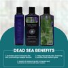 Dead Sea Face Toner for Women by Creatrix Solutions, 300 Ml- Dead Sea Mineral Facial Toner for Women- Revive