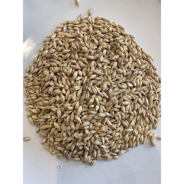 Malted Barley for Moonshine Whiskey Mash by North Georgia Still Company (1 lbs.)