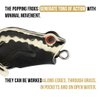 Lunkerhunt Frog Fishing Lure for Bass Fishing | Popping Frog 0.5 oz | Topwater Fishing Bait with Weedless Hooks, Hollow Body (Bark)