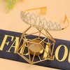 "60 & Fabulous"Sash & Rhinestone Tiara Set, Black Gold 60th Birthday Gifts for Women, Birthday Sash/Tiara for Women's 60th Birthday Party Decoration (Black 60th)