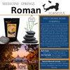 Rome Bath Soak (2 soaks per Bag) Soak in Hot Springs Around The World with Medicine Springs Dead sea Salt for Soaking and Bathing in Bath, add Minerals Dead Mineral Salts to Your Bath (Rome Soak)