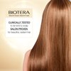 BIOTERA Ultra Moisturizing Conditioner | Hydrates Dry, Damaged, Coarse Hair | Microbiome Friendly | Vegan & Cruelty Free | Paraben & Sulfate Free | Color-Safe | 15.2 Fl Oz