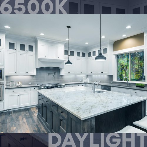 LUXRITE BR20 LED Bulb, 45W Equivalent, 6500K Daylight, Dimmable, 460 Lumens, R20 LED Flood Light Bulb 6.5W, Energy Star, Damp Rated, E26 Base, Perfect for Recessed and Track Lighting (4 Pack)