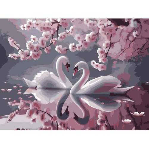 Entongstar Paint by Numbers Kit for Kids (White Swan Couple)