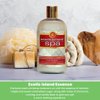 Best Shot Scentament Spa Seasonal Body and Facial Wash, Tearless Shampoo, Hypoallergenic Body Wash, Removes Tear Stains, Hot Toddy, 16 Oz.