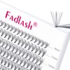 FADLASH Lash Clusters Extensions Individual Lashes Natural Soft 120pcs 10D C Cur Natural Long Black Faux Mink Volume Lash Extensions Reusable Artificial Eyelashes (10D-0.07-C, 8-15mm)