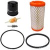 EZGO RXV Gas Golf Cart Deluxe Tune Up Kit with Oil Filter Drive & Starter Belt