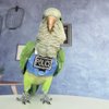 Bird Flight Harness Vest, Parrot Flight Suit with Leash, Bird Flying Clothes with Rope and Handle for Outdoor Activities (with Leash,Green Quaker)