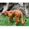 Gemini&Genius Safari Animal Figures Toys, Tiger Figurine Wildlife World Figures for Nature Science Learning, Jungle Animals Gifts for Kids