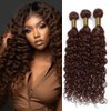Dark Brown Water Curly Bundles #4 Human Hair Loose Light Brown Deep Water Wave Bundles Double Weft Brazilian Remy Hair Extensions Wet and Wavy Bundles Silky Soft for Black Women(22 24 26 Inch)
