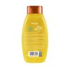 Aveeno Deep Moisturizing Sunflower Oil Blend Shampoo with Oat for Dry Damaged Hair, Dye, Paraben & Sulfate Surfactants Free, 12 Fl Oz