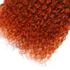 18 20 22 Inch Ginger Orange Bundles Color 350 Curly Wave Human Hair Bundles Ginger Bundles Human Hair Orange Kinky Curly Bundles Remy Hair Color 350 Bundles