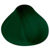 Satin | Bold Dark Sea Green | Complete Hair Dye | Permanent and Semi-Permanent | Long Lasting | Vegan and Cruelty-Free
