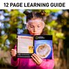 NATIONAL GEOGRAPHIC Break Open 2 Geodes Science Kit – Includes Goggles, Detailed Learning Guide and Display Stand - Great STEM Science gift for Mineralogy and Geology enthusiasts of any age